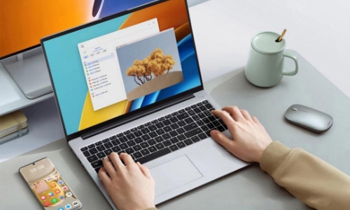 Laptops & Ultrabooks